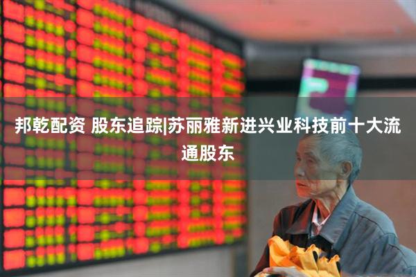 邦乾配资 股东追踪|苏丽雅新进兴业科技前十大流通股东