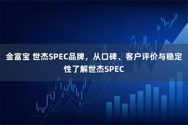 金富宝 世杰SPEC品牌，从口碑、客户评价与稳定性了解世杰SPEC