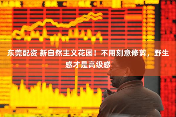 东莞配资 新自然主义花园！不用刻意修剪，野生感才是高级感